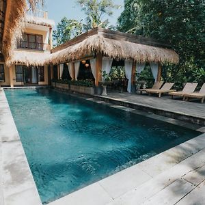 Suite Jungle View